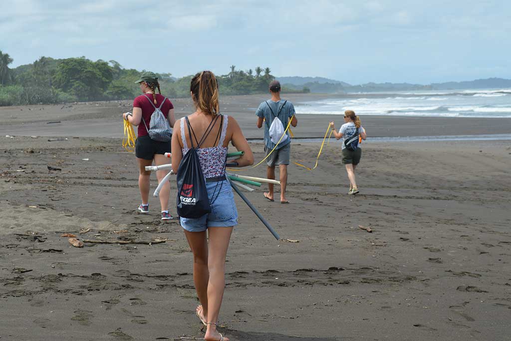 beach-cleanup-sea-turtles-costa-rica