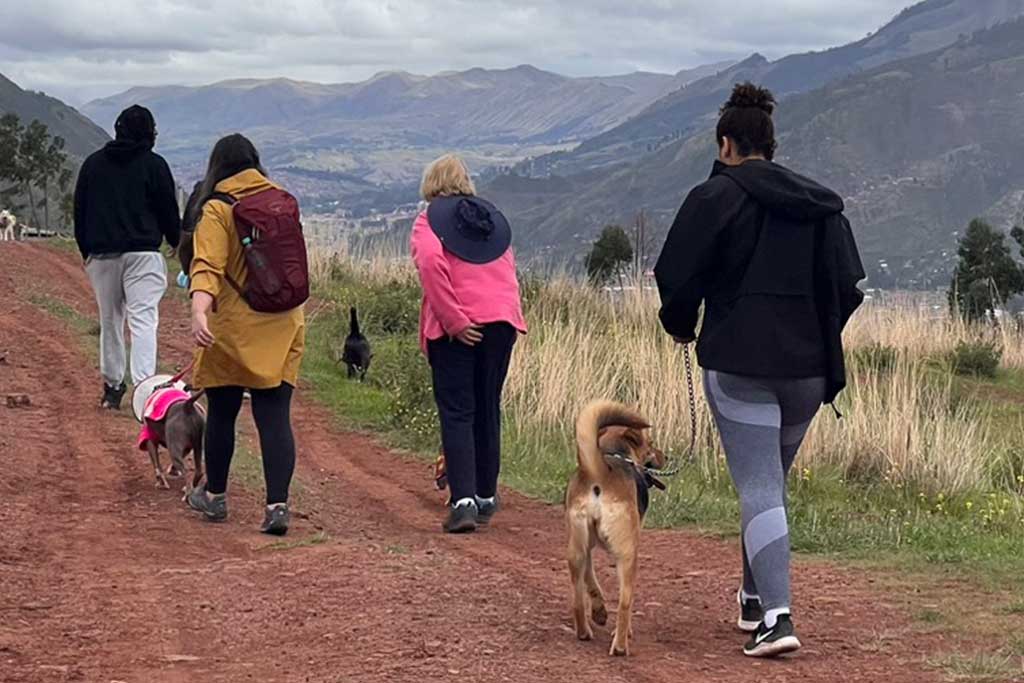 family-volunteer-with-dogs-in-peru