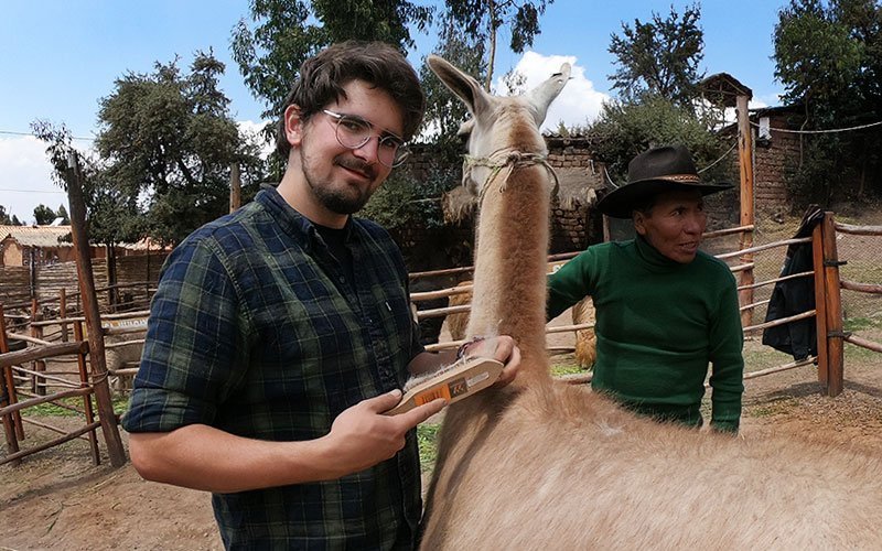 international-internship-veterinary-science-program-PE Veterinary Internships in Peru