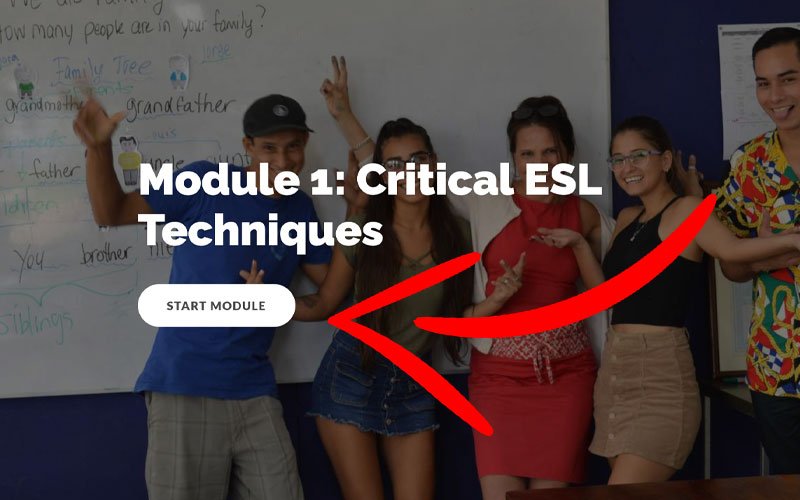 Start your Online TEFL