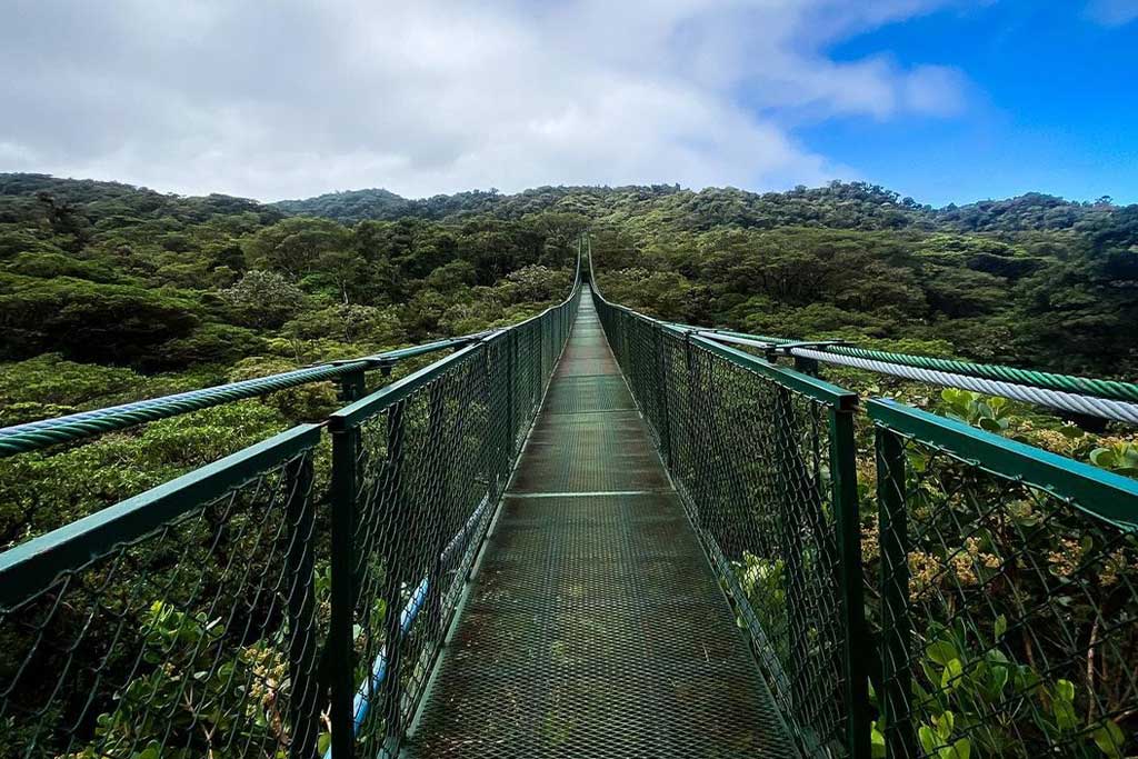 monteverde-cloud-forest-hanging-bridges