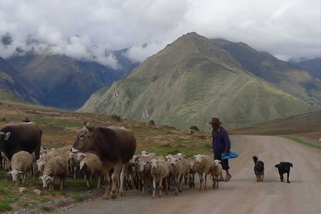 sacred-valley-peru-urubamba