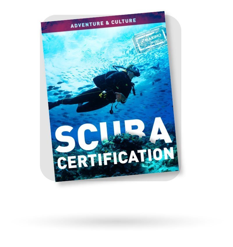 Scuba Certification Brochure