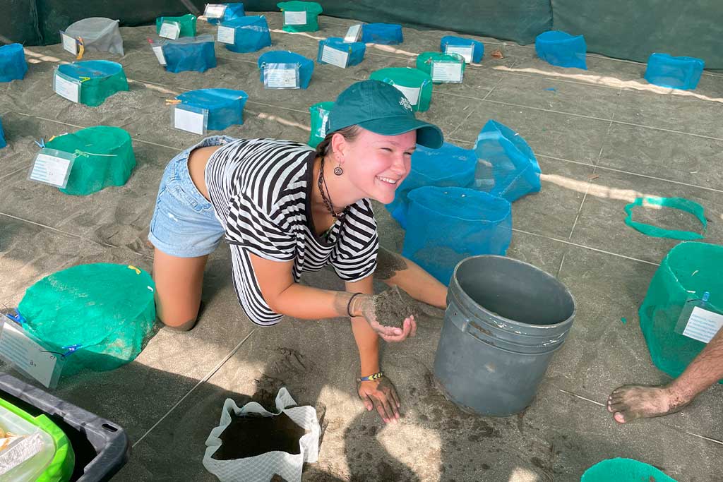 sea-turtles-hatchery-junquillal