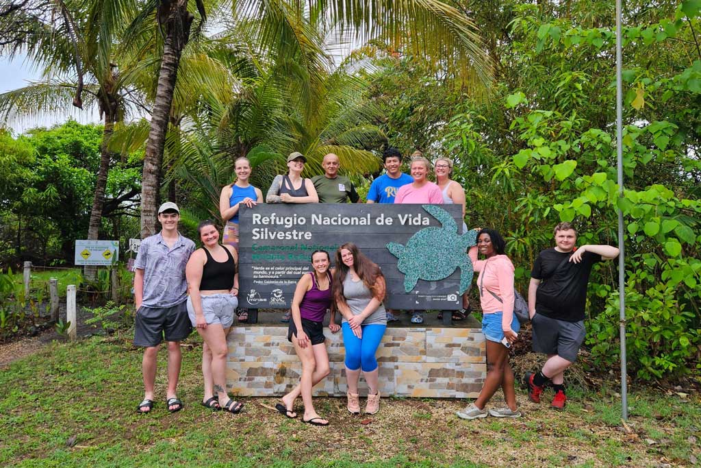 sea-turtles-volunteer-gap-year-costa-rica