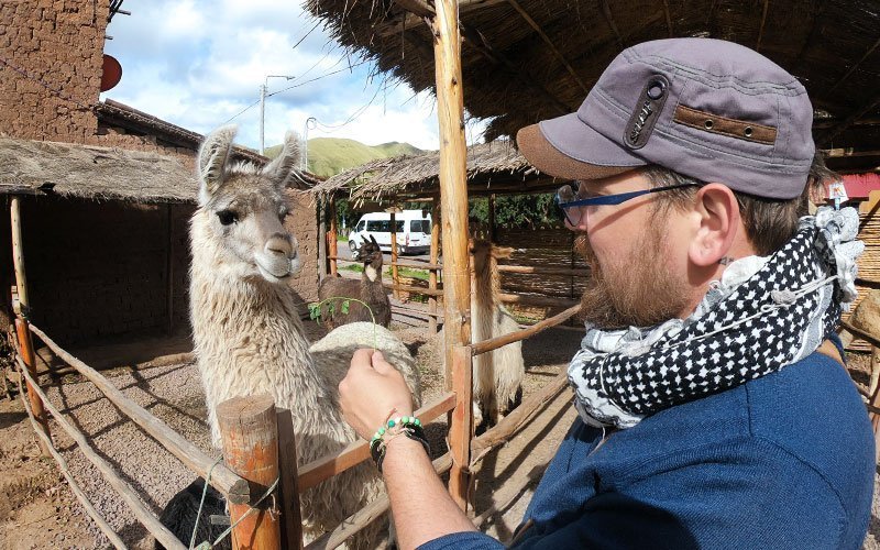 Volunteer with Alpacas in Peru