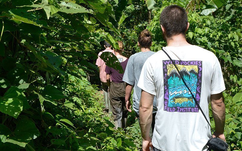 Volunteer in Amazon Conservation in Peru