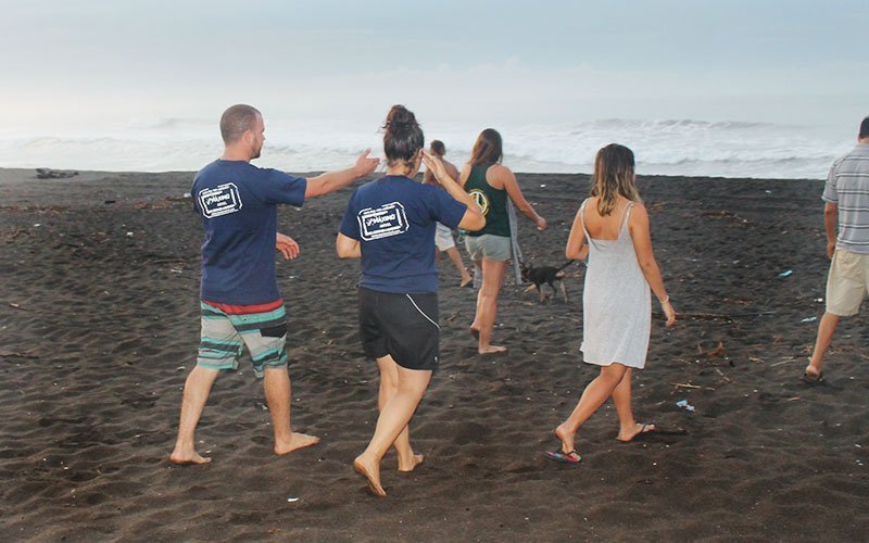 Volunteer in Beach Conservation in Costa Rica