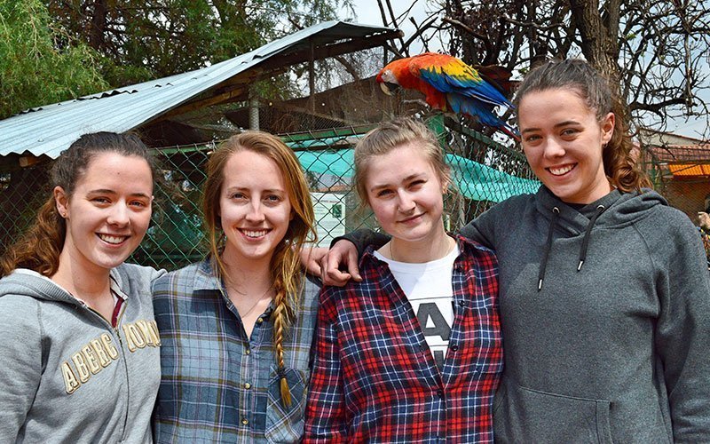 Volunteer at Cusco University Zoo in Peru