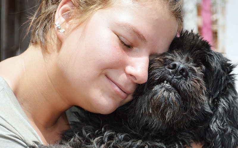 Volunteer with Dogs in Guatemala