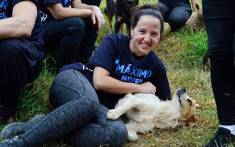 Volunteer in Dog Shelters in Peru