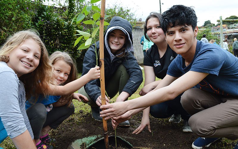 Volunteer in Eco Agriculture in Costa Rica