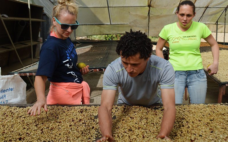 Volunteer in Eco-Agriculture in Guatemala