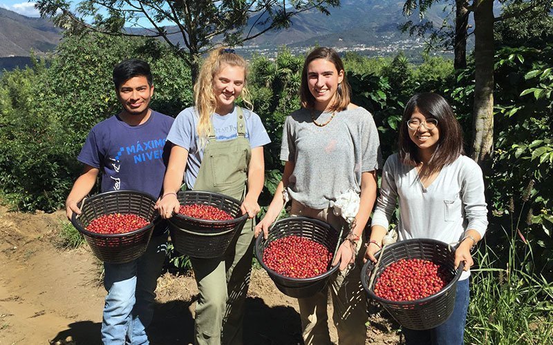 volunteer-abroad-eco-agriculture-program Volunteer in Farms and Agriculture Abroad