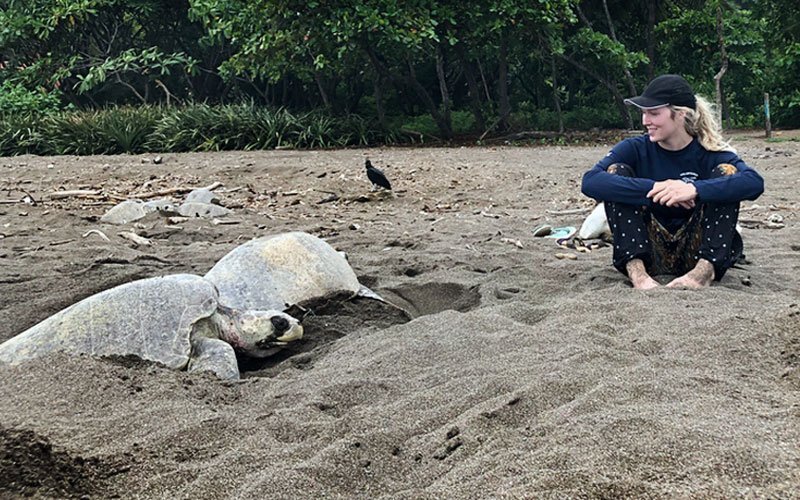 volunteer-abroad-sea-turtle-program-GT Sea Turtle Conservation in Guatemala