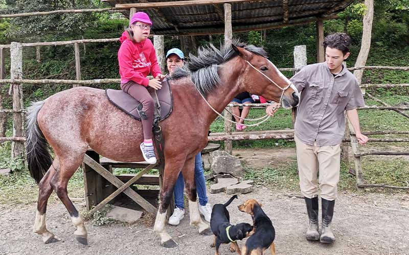 Volunteer with Dogs in Costa Rica