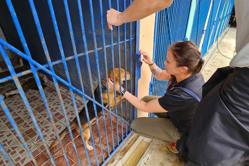 volunteering-while-learning-Spanish-in-Costa-Rica